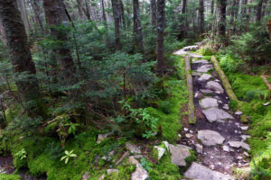 Protecting the Long Trail