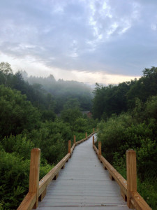 Thundering Falls Boardwalk_AT (3)