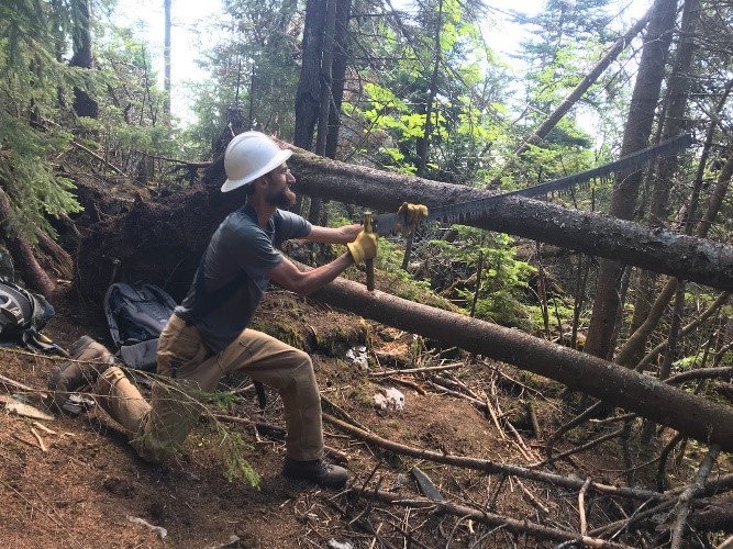 Isaac removes a blowdown with a crosscut in wilderness area because of the Wilderness Act.