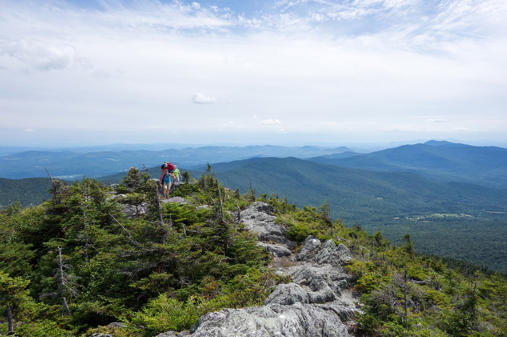 view from the top of jay