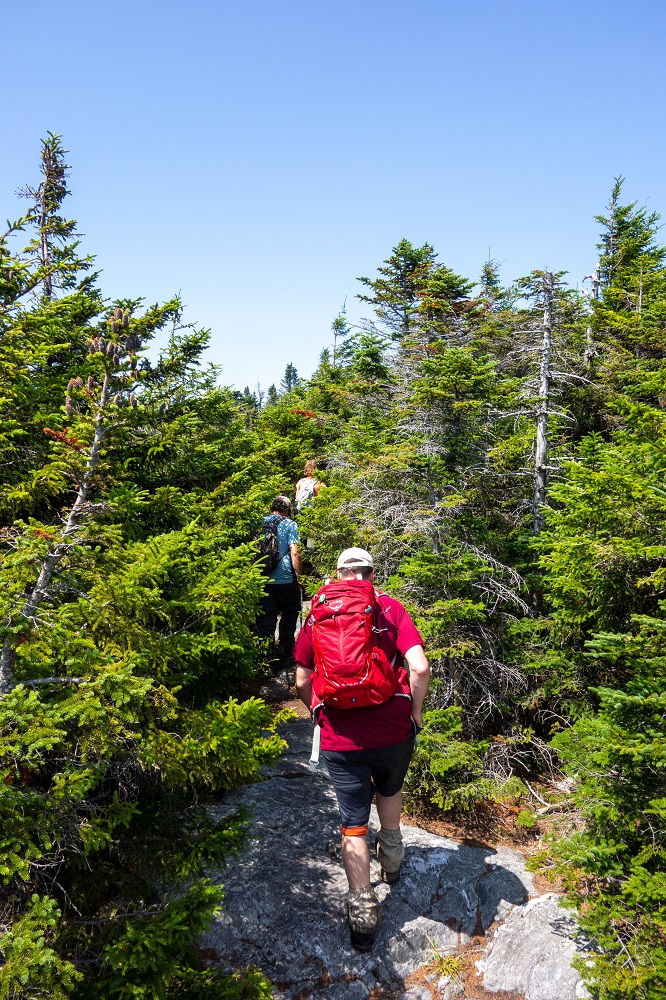 Clark Brook Trail to Mt Roosevelt_Kristin McLane-16