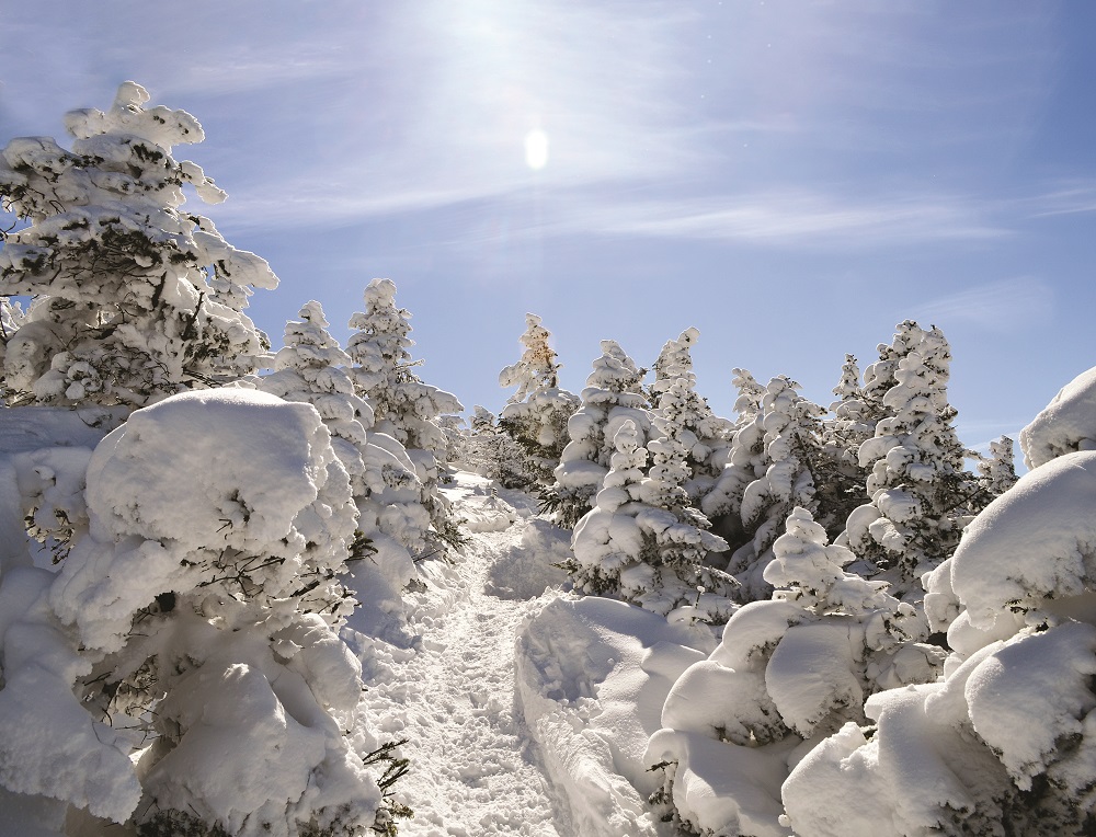 Thru-Hiking the Long Trail in Winter - Green Mountain Club