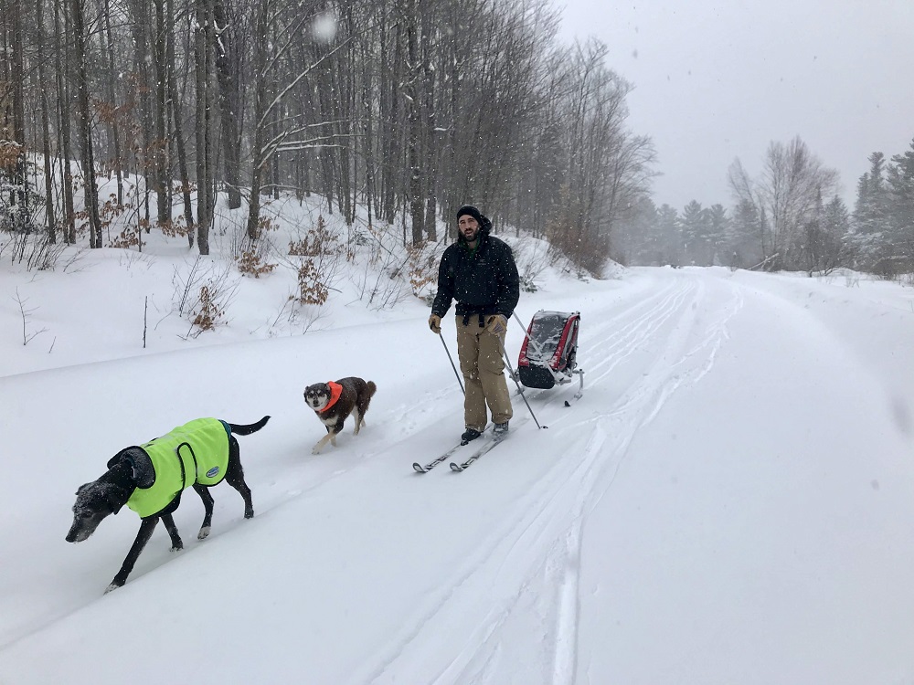 Man pulls child in ski chariot along trail, with two dogs walking alongside.