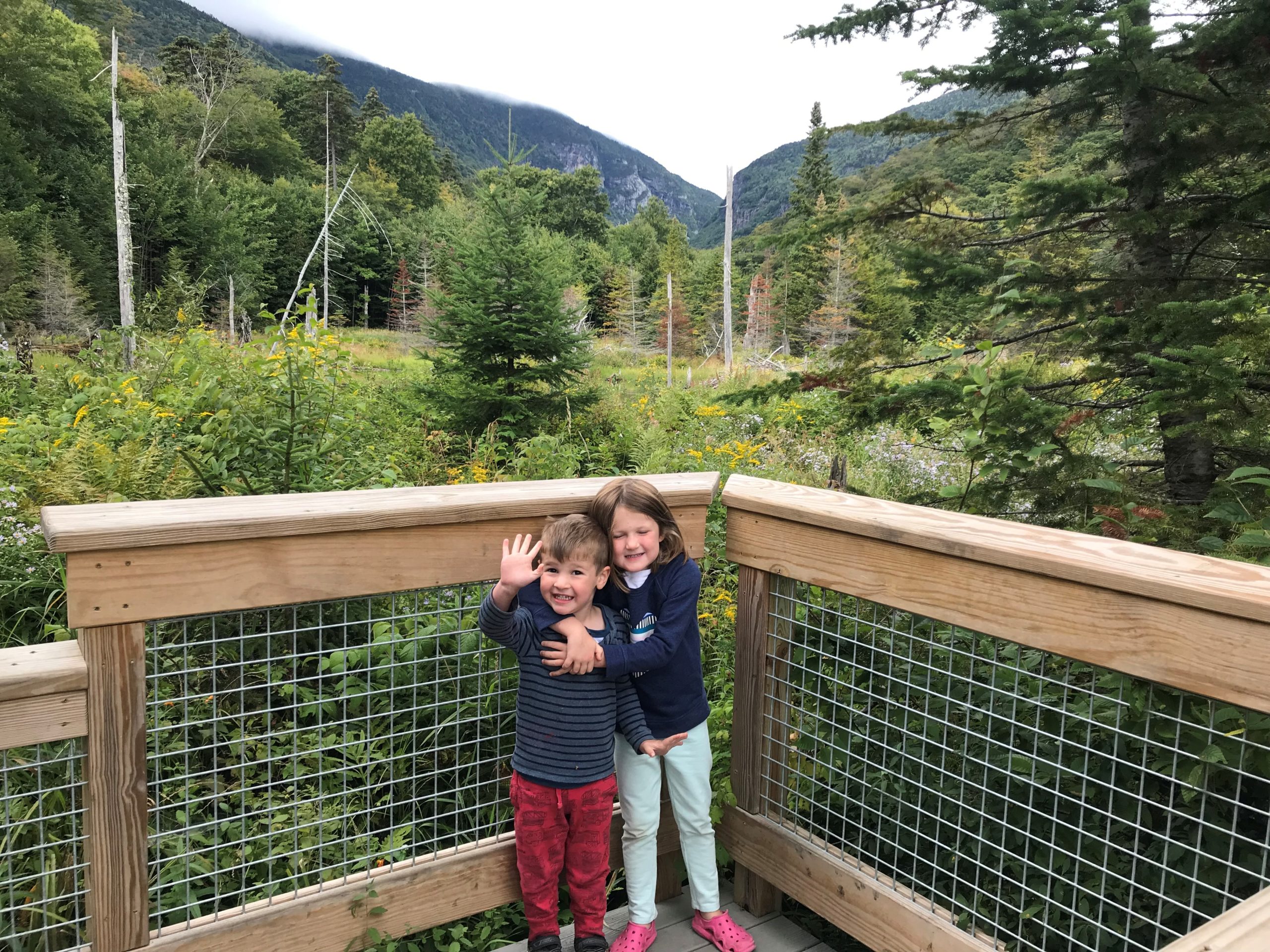 hiking with kids - two toddlers on trail