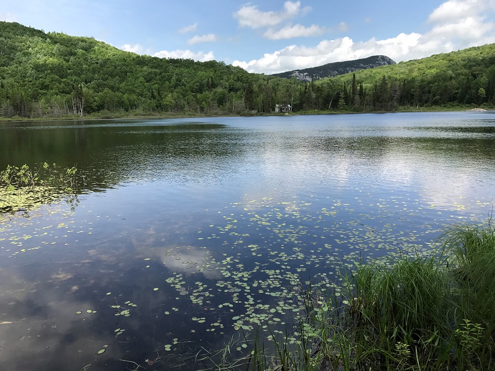 View from HM Cabin c. Rob Rives 061817