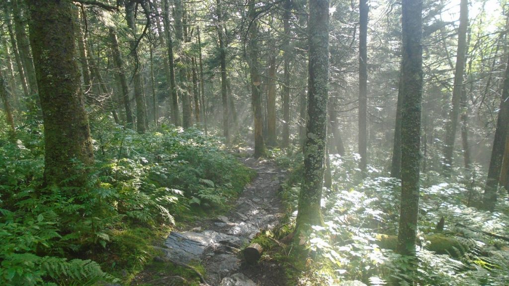 Long Trail/Appalachian Trail