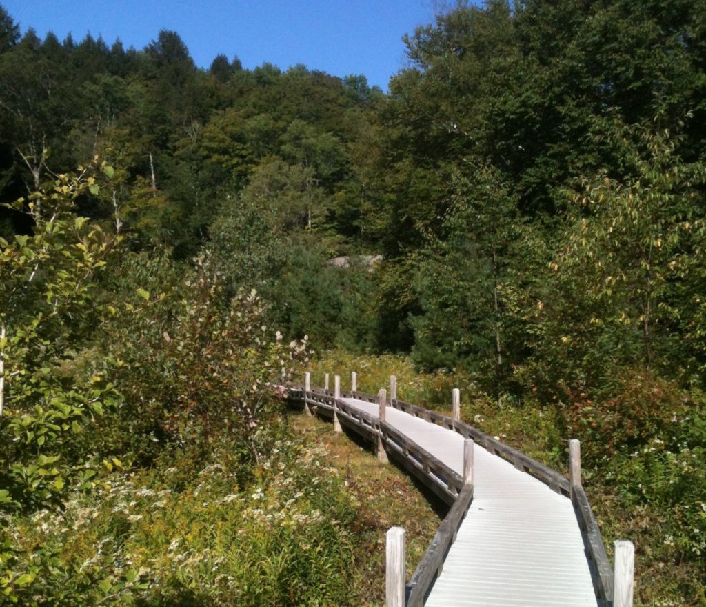 Thundering Falls Boardwalk