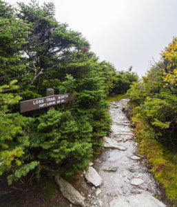 Long Trail sign