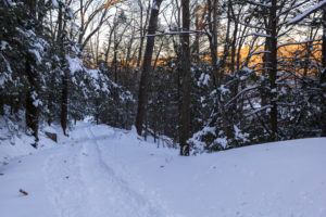 Sun sets behind trees on a snow-covered trail.