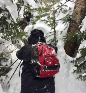 skier with red backpack faces away from camera traversing thick trees and snow