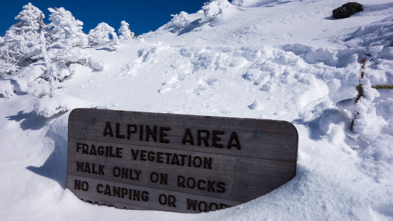 Alpine Zone signage covered in snow.