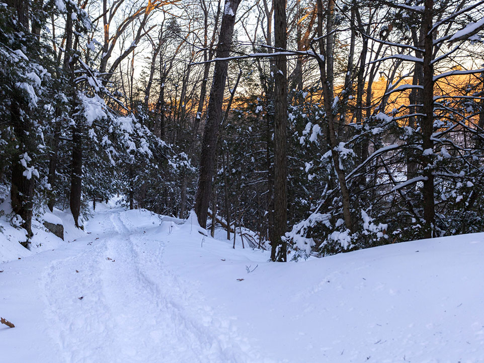 Tracks in the snow from winter hiking while sun sets behind trees bordering the trail.