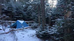 Tent set up in the snow, guarded by evergreens at dusk, for winter camping