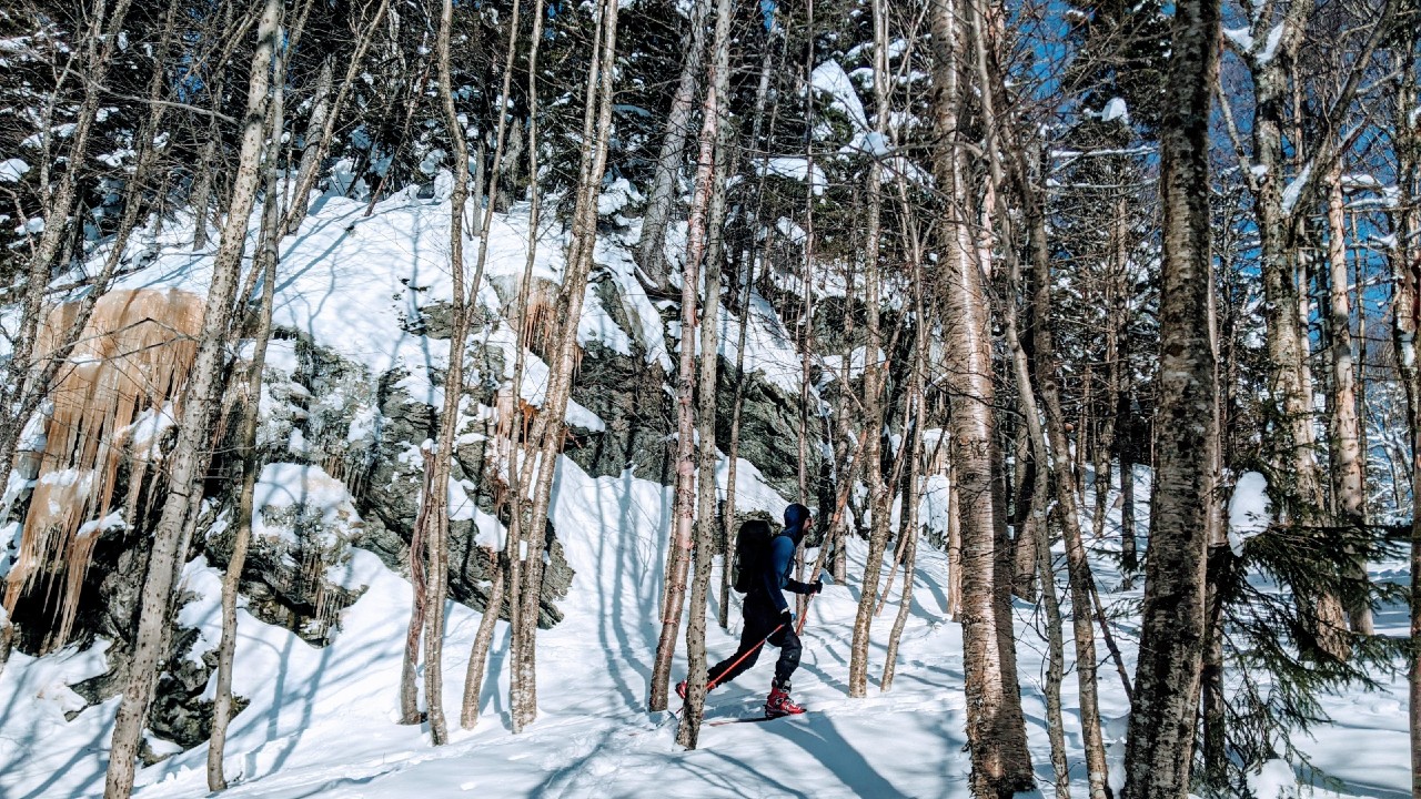 Hiker travels through snow between trees on trail for winter camping.