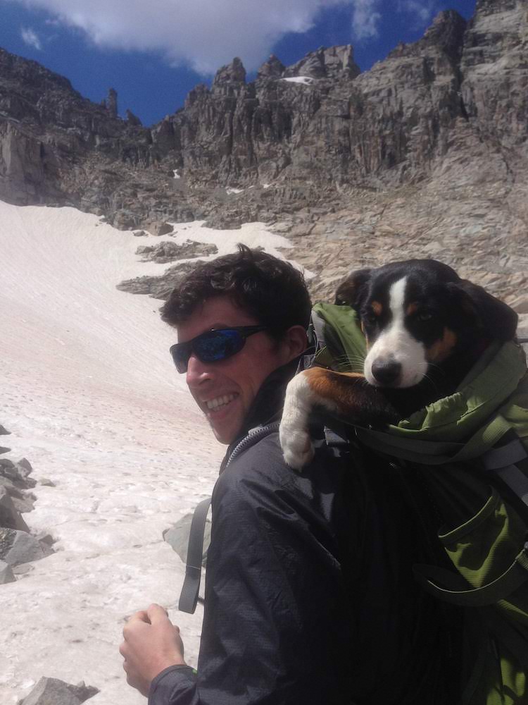 dog in backpack with hiker in front of a mountain vista