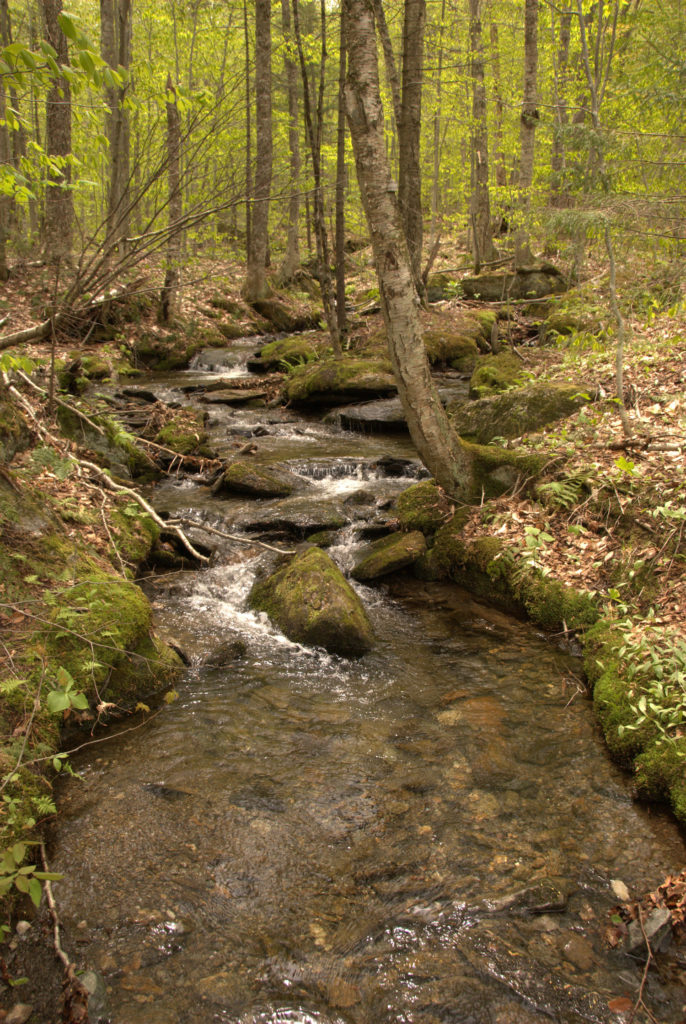 Codding Hollow property