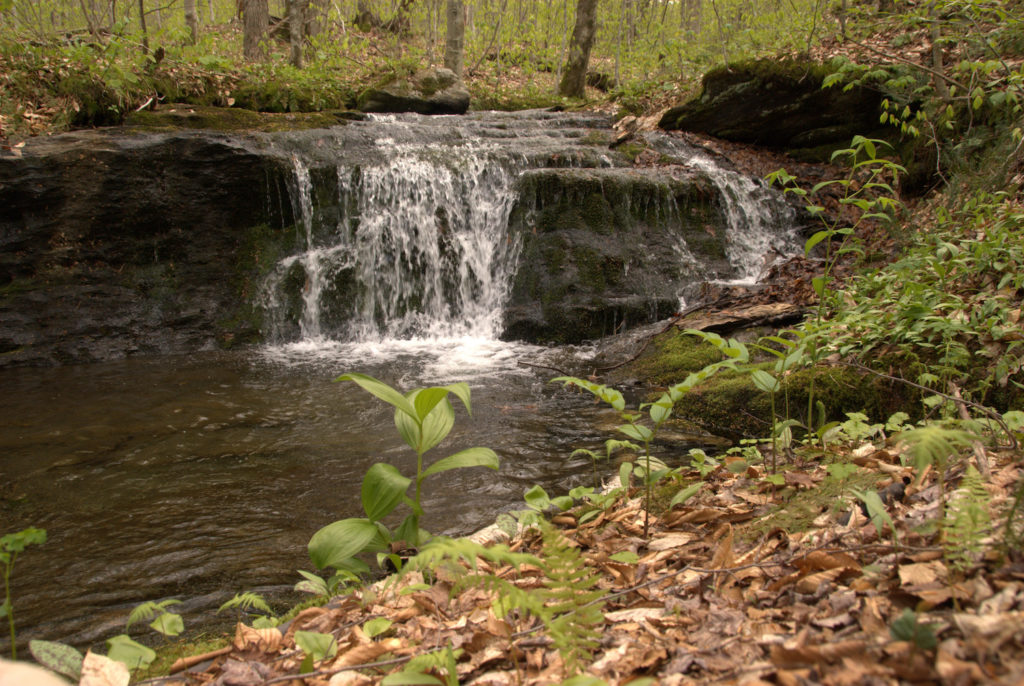 codding hollow property