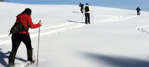 cross country skiing on a snowy slope