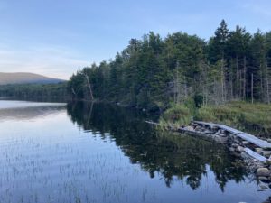 A side-to-side trail, the Lye Brook Trail waterway and shoreline