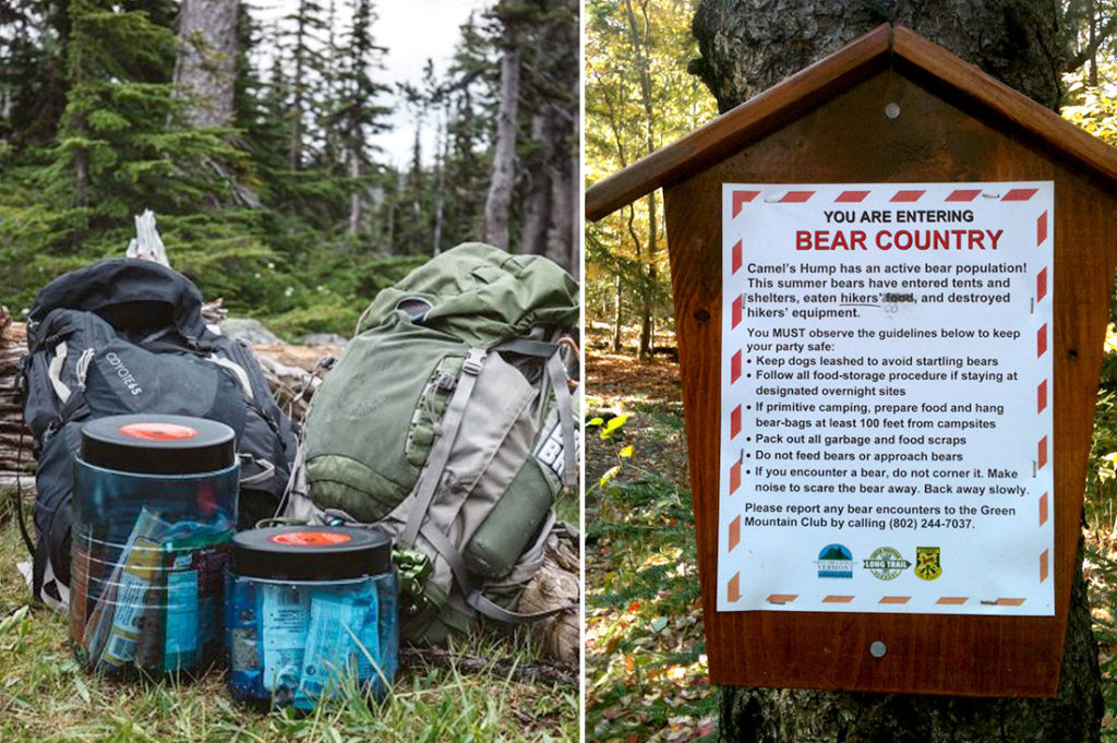 Left, bear canisters; right, bears in the backcountry warning