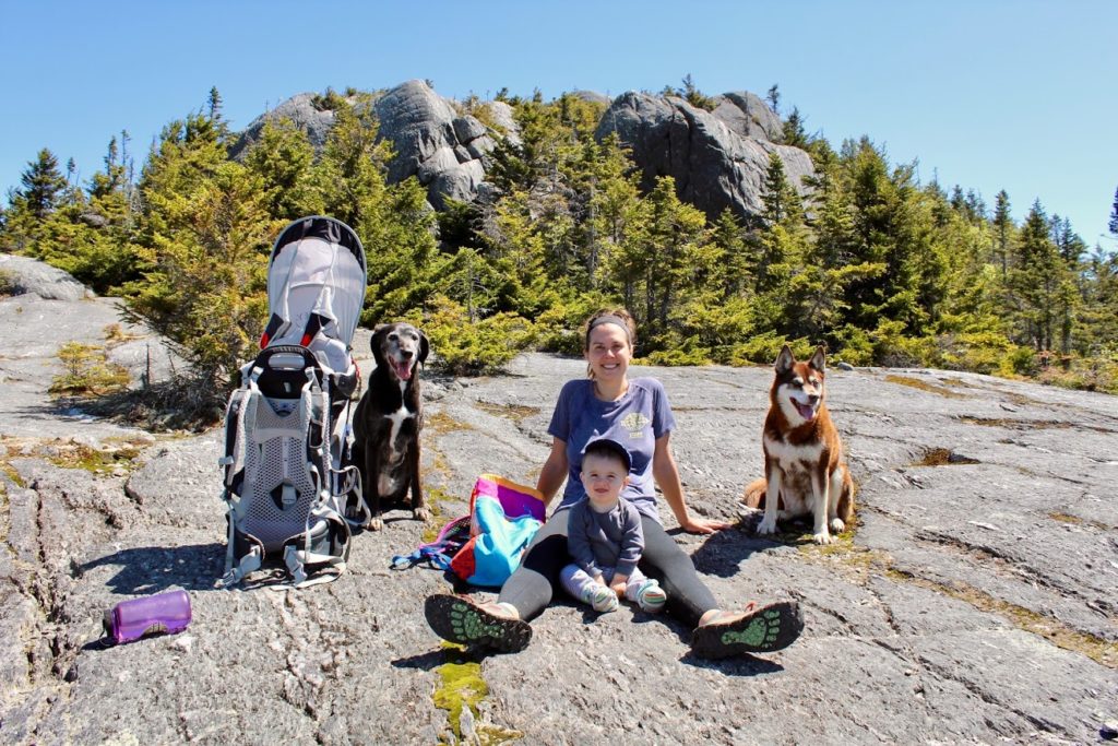 mom, toddler, dogs, and backpacks sit on the rocks at the top of a hike