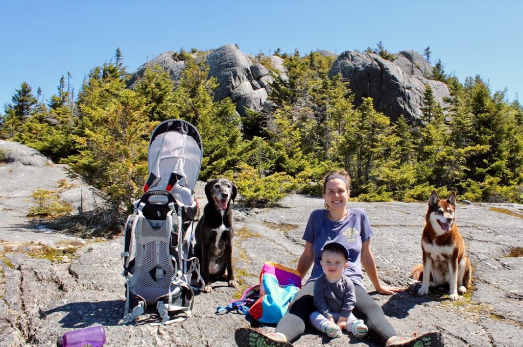 mom, toddler, dogs, and backpacks sit on the rocks at the top of a hike