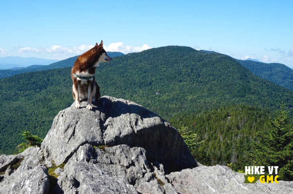 Mika on Mt Worcester, and alternative to the Monroe Skyline. Photo courtesy: Amy Potter