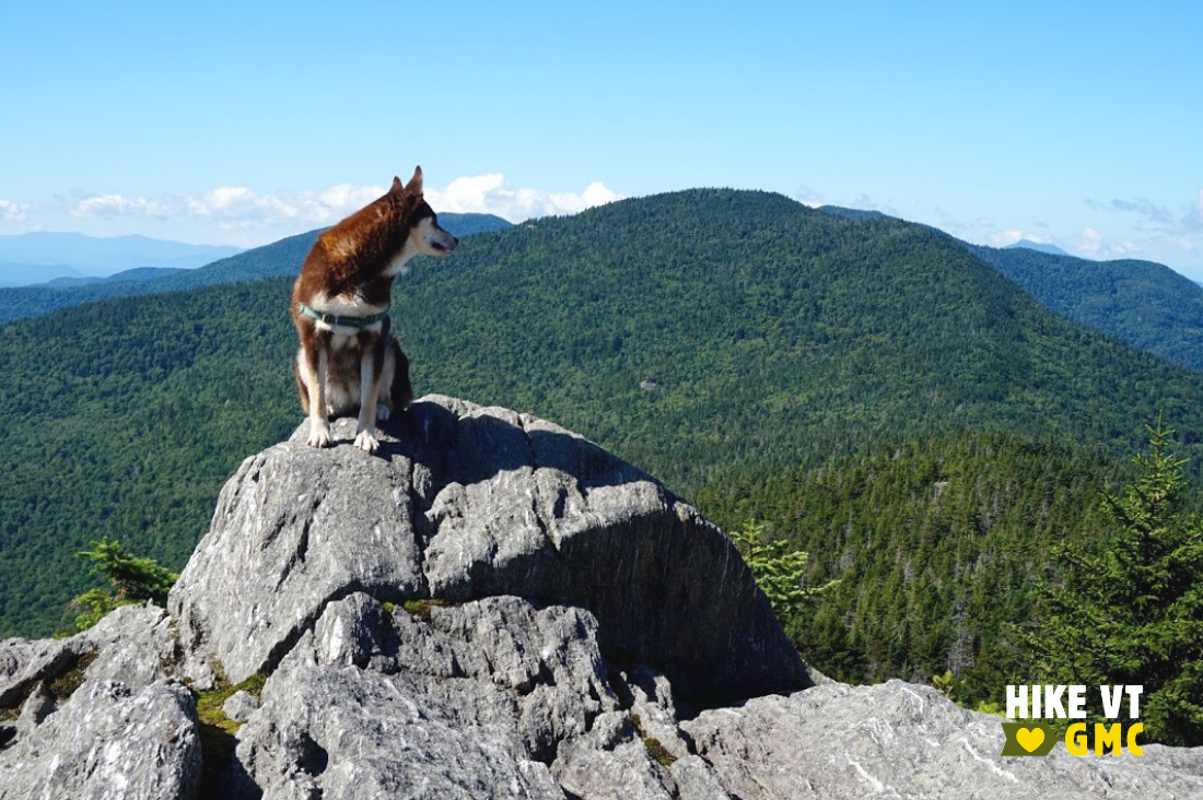 Alternative Summer Hikes to Popular Vermont Peaks - Green Mountain