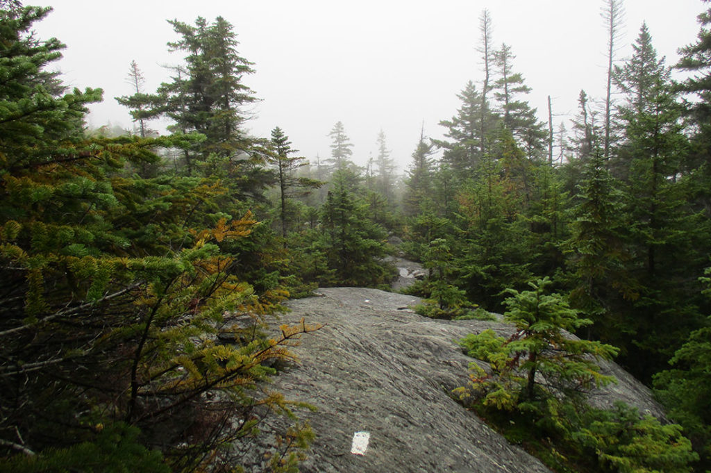 The Long Trail on a foggy day