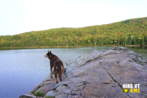 Mika at Little Rock Pond, overnight