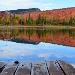 NEK Trail Systems in fall