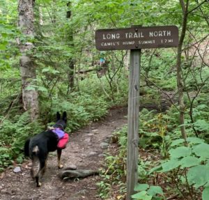 dog and sign on long trail