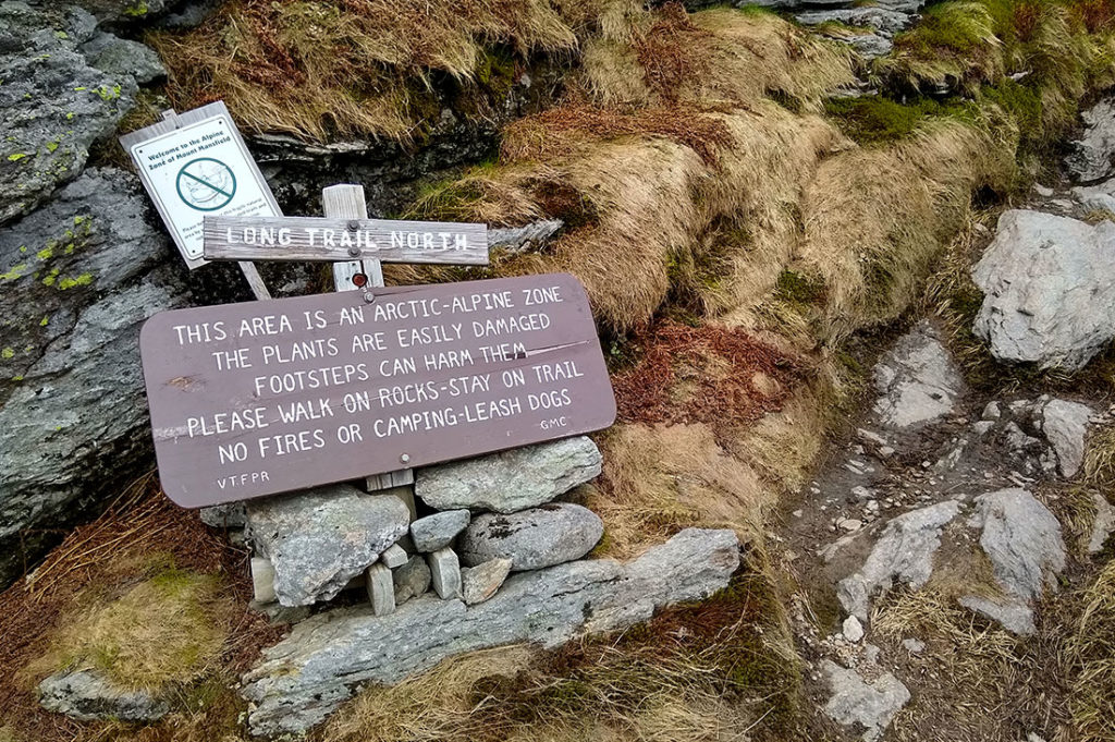 Alpine zone signage requests folks respect plants by walking on rocks, leashing dogs