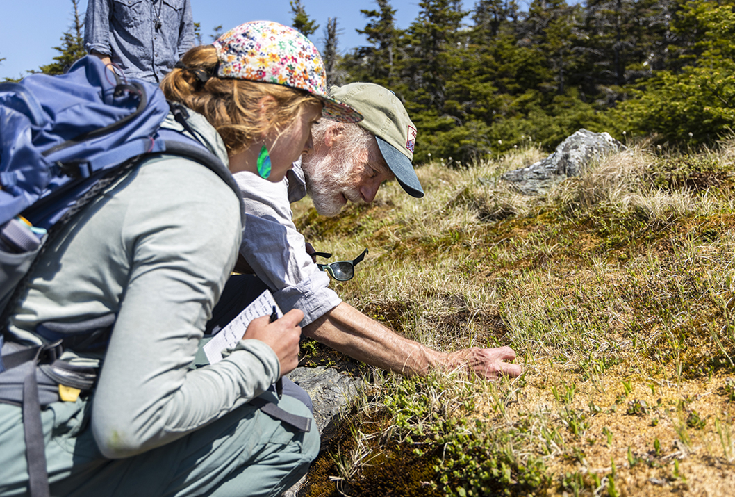 Bob Popp, retired Vermont State Biologist, points out different alpine plants to caretakers during the 2023 alpine ecology training walk on Mt. Mansfield.