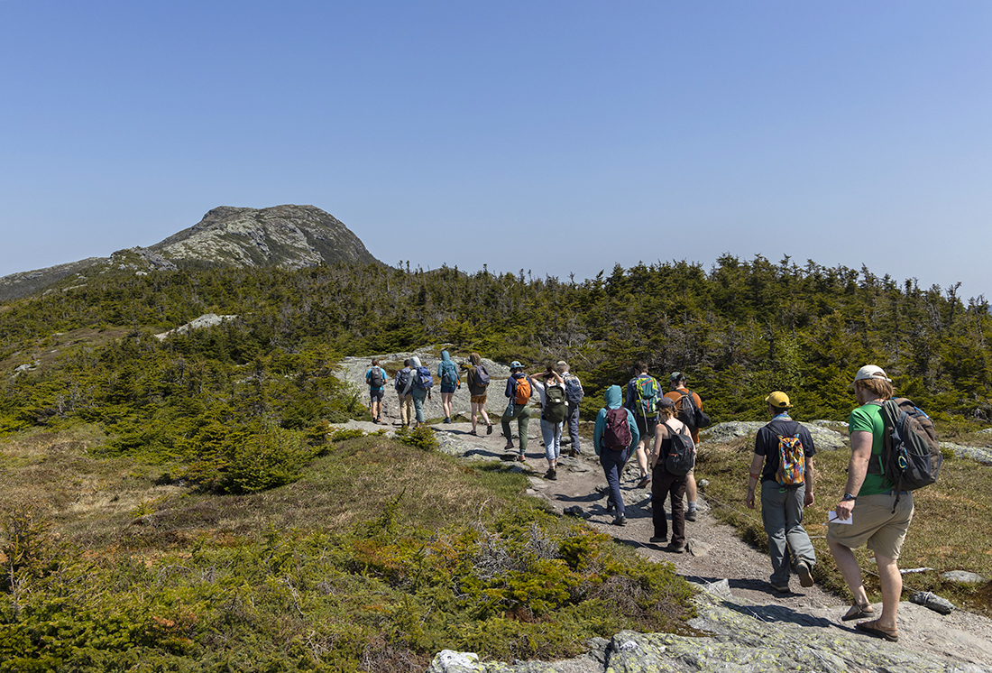 Caretakers walk the ridgeline of Mt. Mansfield during the 2023 alpine ecology training walk, led by retired Vermont State Biologist, Bob Popp, and State Ecologist, Bob Zaino. The trees along the ridgeline grow shorter because they have been stunted by wind exposure and other harsh elements.