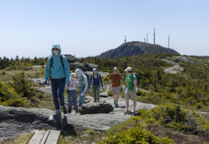 Caretakers walk the ridgeline of Mt. Mansfield during the 2023 alpine ecology training walk, led by retired Vermont State Biologist, Bob Popp, and State Ecologist, Bob Zaino.