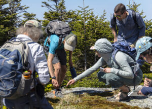 Caretakers point out different alpine plants during the 2023 alpine ecology training walk on Mt. Mansfield, led by retired Vermont State Biologist, Bob Popp, and State Ecologist, Bob Zaino.