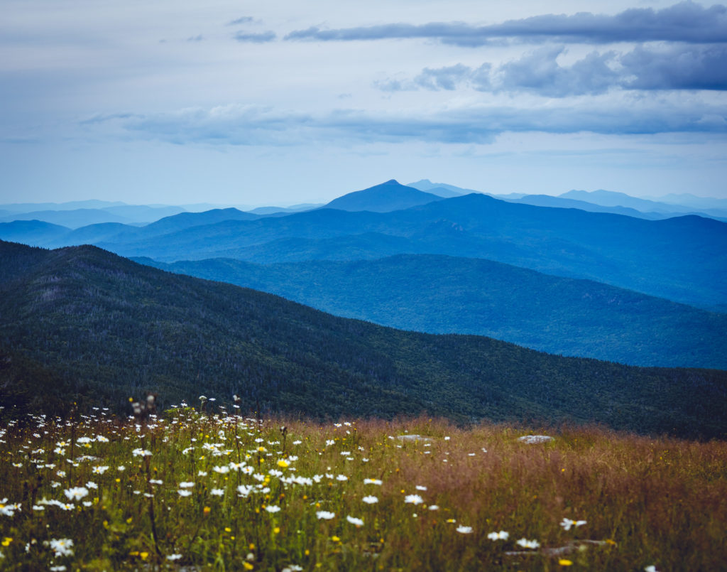 The path ahead at Sugarbush; photo by: Kurt Wehde