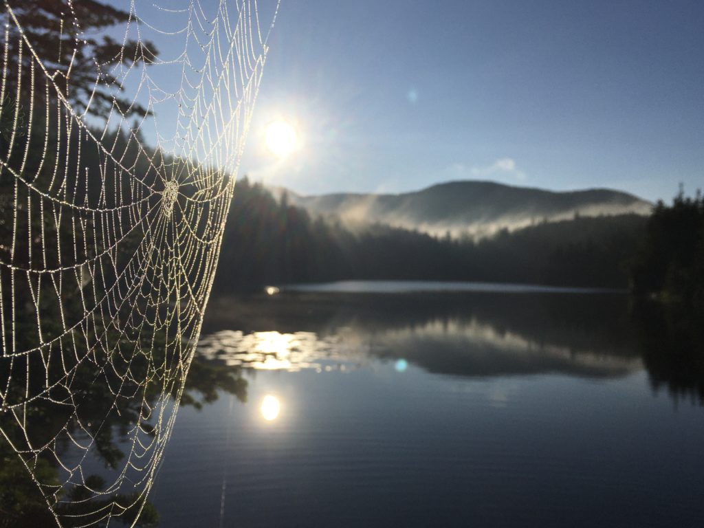 This unique perspective highlights Sterling Pond; photo by Marissa Saltzman