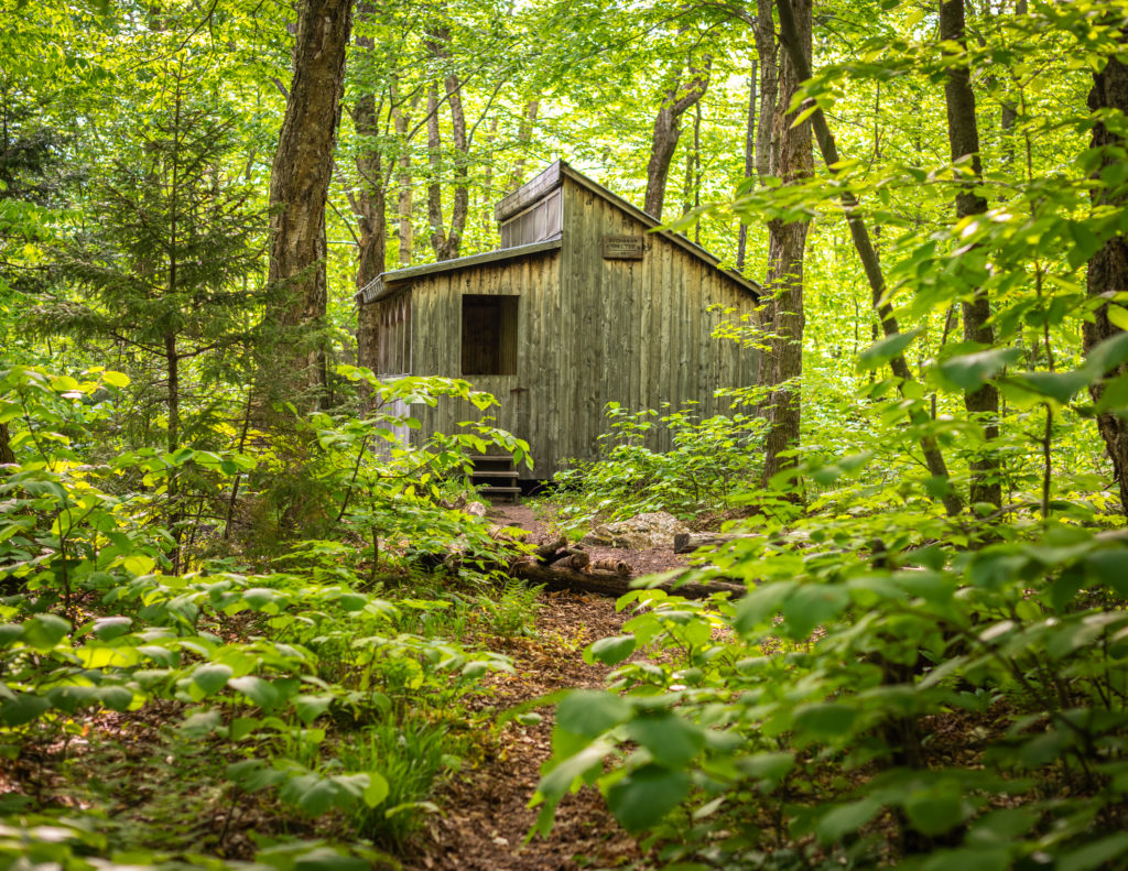 This green frame highlights Buchanan Shelter; photo by Nathanael Asaro