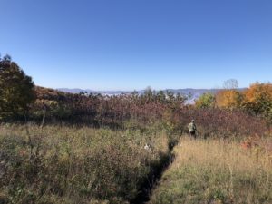 dupuis hill southwest view before mowing 2021