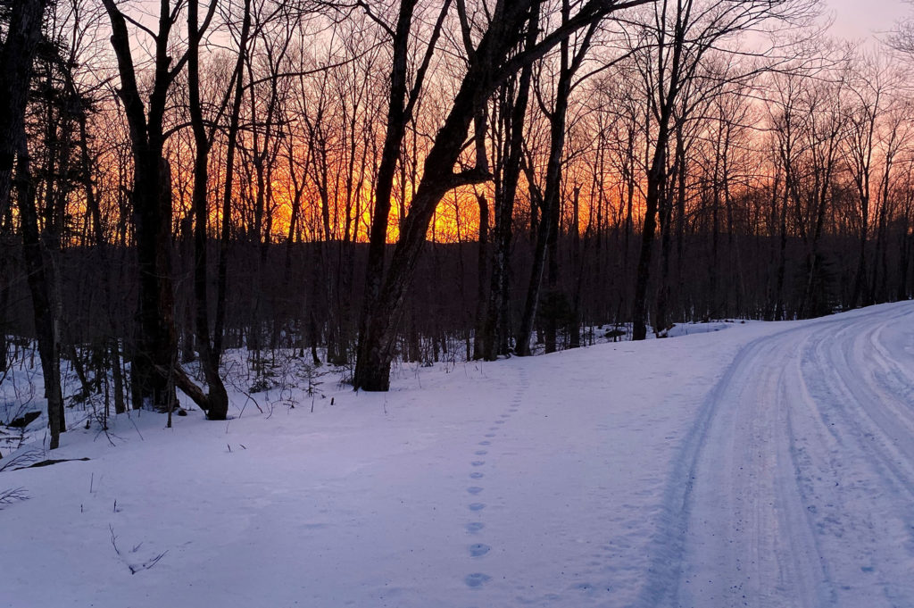 The sunrise highlights bear tracks on Hazen's Notch Road in Dec. 2019.
