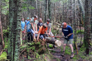 Youth volunteers haul 800-pound timbers through the woods.