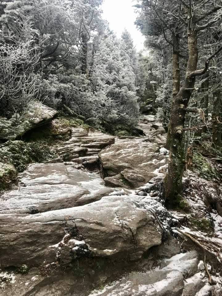 early winter on camels hump burrows trail