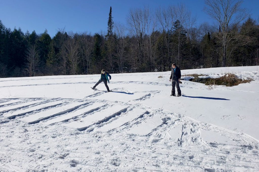 GMC logo in snowshoe art