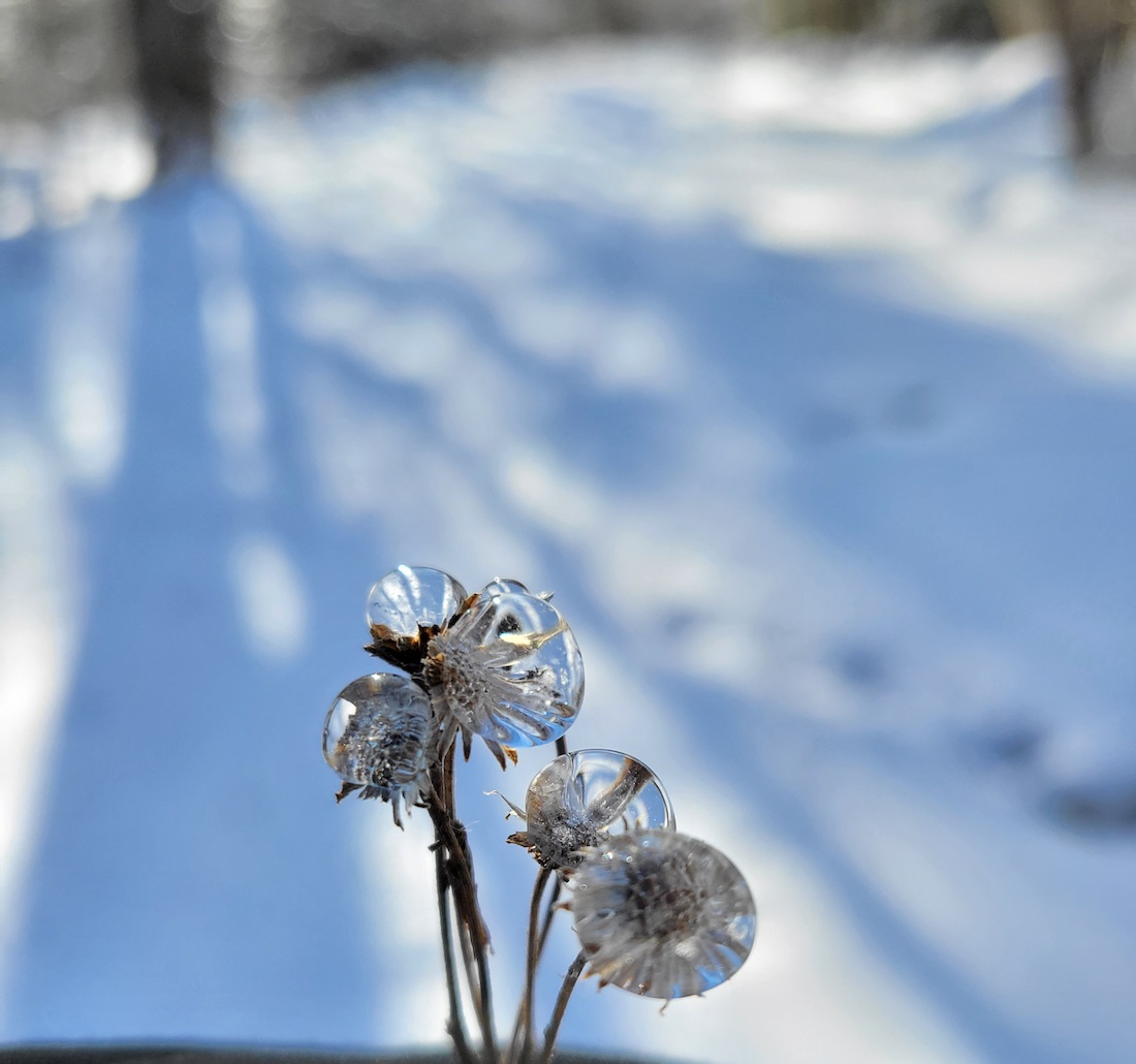 winter stillness photo contests