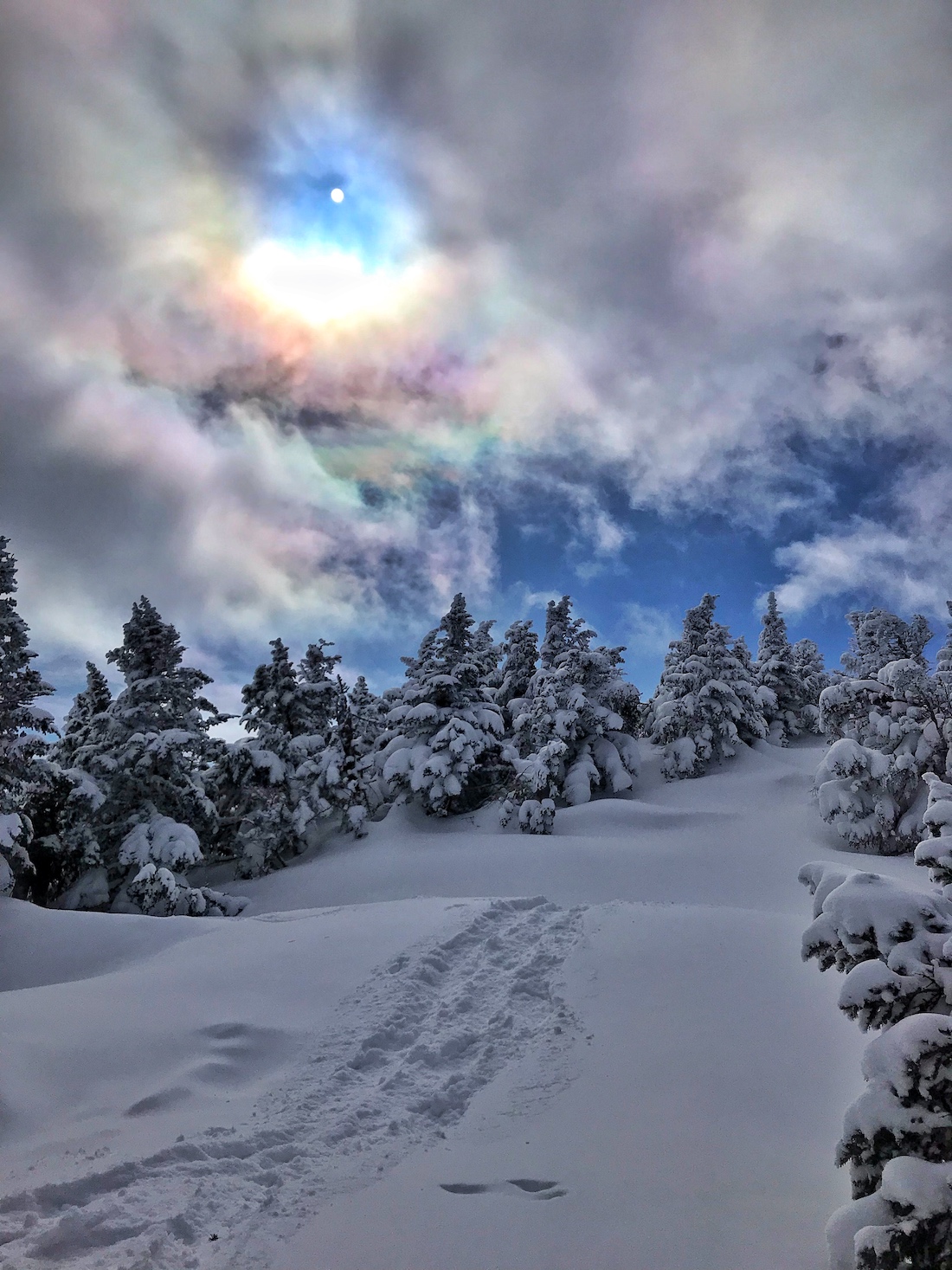 Mansfield Forehead winter sky trail