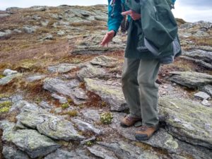 person gestures to plants on rocky summit