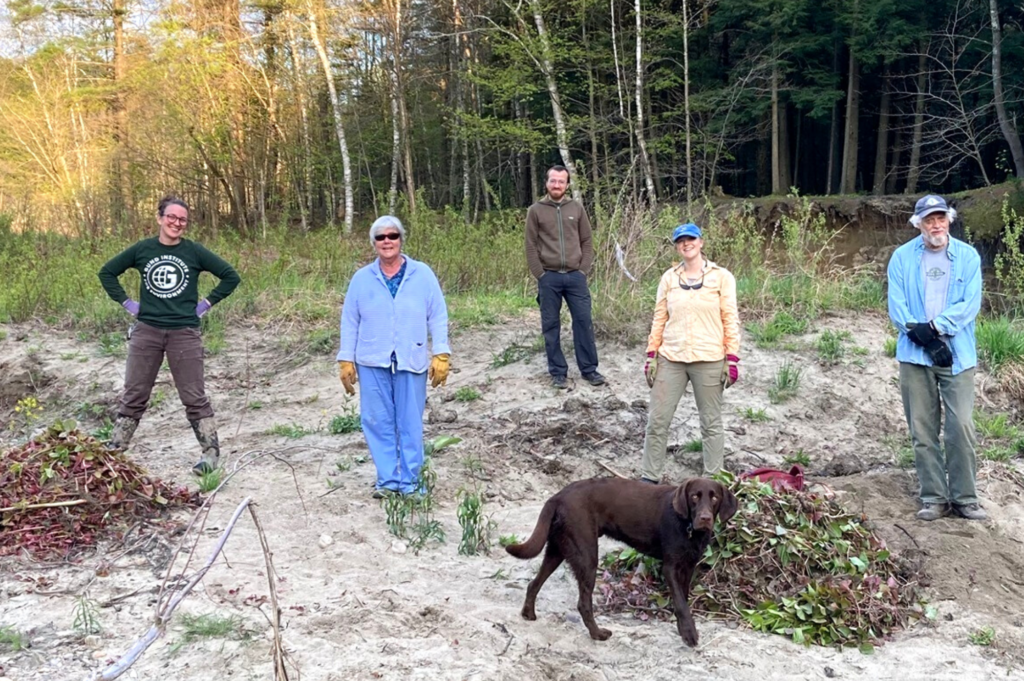 Sterling Section pulls knotweed, one of the appropriate mud season events.