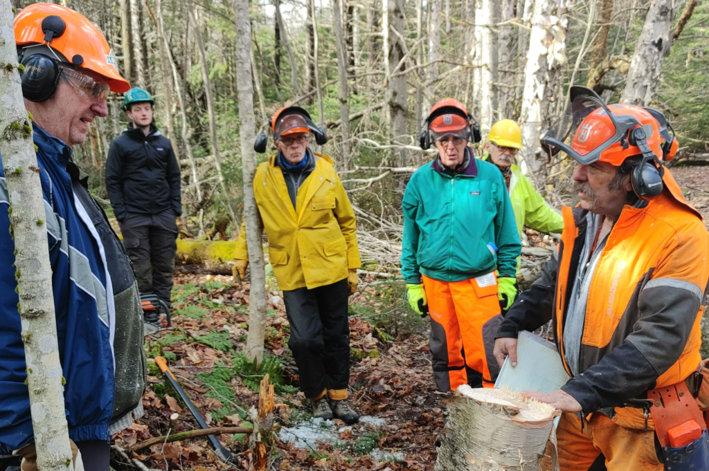 GMC volunteers learn Game of Logging sawyer techniques.